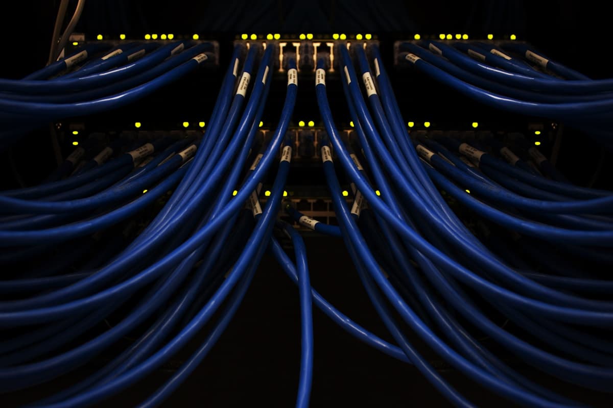 Câbles réseau connectés à un panneau de brassage dans un datacenter
